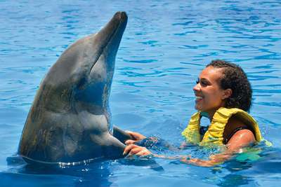 dolphin-swim-adventure-cozumel