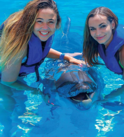 dolphin-swim-adventure